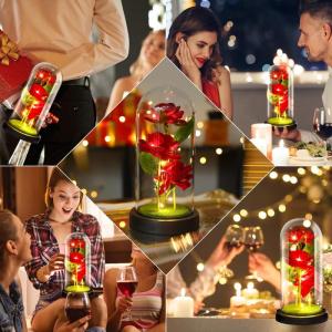 Rosen-Geschenke für Frauen, Mütter, Ehefrau, bunte künstliche Rosen, Geschenke für Frauen, für immer in Glaskuppel, Regenbogen-Rose für Geburtstag, Weihnachten, Muttertag, De