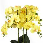 Realistische künstliche Orchideenpflanzen, vollständig getopft