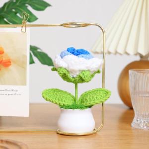 Kunstbloem roos gehaakte bloemen potplant, mini gebreide bloempot, kleine handgemaakte gehaakte bloem voor thuiskantoor tafeldecoratie, cadeau voor haar Valentijnsdag (1, wit blauw