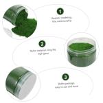 2 Stück 1 Moosrasenpulver Künstliches Dekor Kunstrasen Dekorationen Fee Gefälschtes Gras Zen-gartenzubehör Terrain DIY Grasmodell Blumendekoration Zug Nylon Spielzeugzimmer Anl