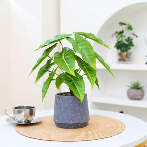 Kunstgroene plant in pot, kunstmatige vetplanten, planten in pot, 33 cm, grote groene kunstmatige plant, groen blad voor thuis, bureau, woonkamer, decoratie