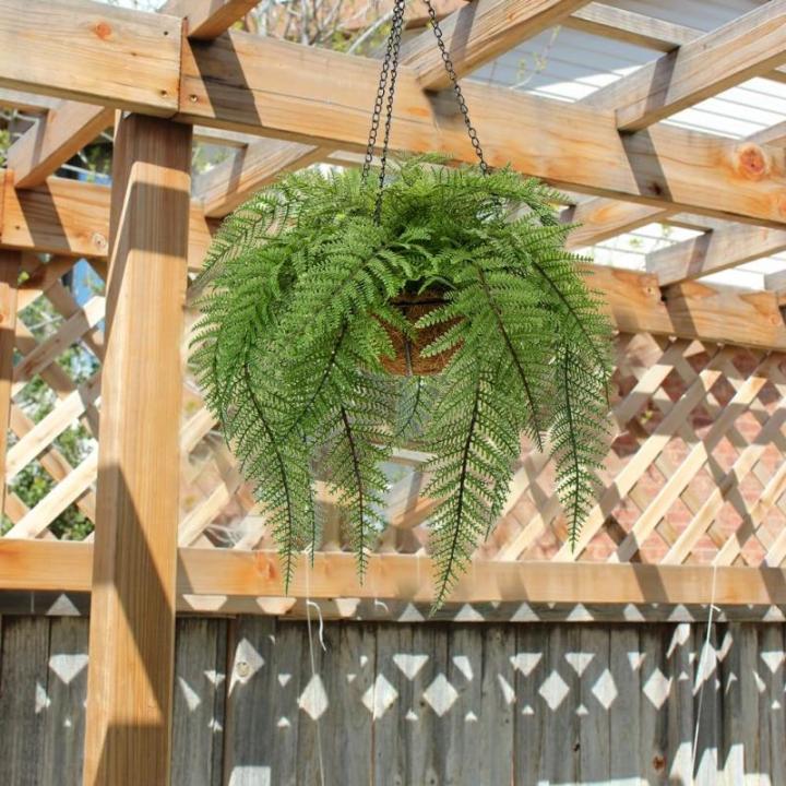 varenplanten, bonston varen, hangplant, kunstvaren, als echt voor muur, keuken, veranda, hangmand, decoratie, met hanghanger