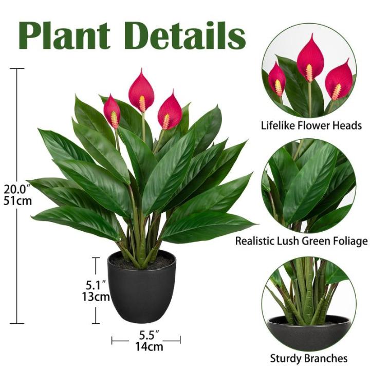 Kunstplant als echte kunstplant, decoratieve plant Calathea, struikachtig met 22 bladeren in kunststof pot, kamerplant, hoogte 43 cm, groen
