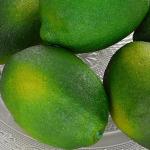 Kunstgroene citroen/limoen, 6 stuks - levensecht plastic fruit, plastic fruit, kunstfruit, fruit, decoratie, etalage, huishouden, keuken, hotel, groene citroen, limoen, 6 stuks
