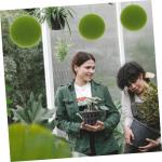 2St Simulierter Moosball imitierte grüne Moossteine Dekor fensterdeko selber Machen künstlich kunstpflanze kunstplflanze Requisiten aus Mooskugeln DIY blumenkunst versorgung Scha
