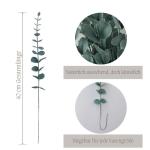 Eucalyptus decoratie 20 stuks, eucalyptus, eucalyptus, eucalyptus, eucalyptusplant, kunstmatige eucalyptus, eucalyptus-takken