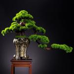 Künstlicher Bonsai-Baum Künstlicher Bonsai-Baum for den Innenbereich, groß, grün, Simulation Willkommenskiefer, Bonsai-Baum, Wohnzimmer, Büro, Desktop-Dekoration, künstliche 