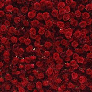 Blumenwandpaneel Rote Rose – Künstliche Blumenpaneele Für Wandhintergrund, Dunkelrote 3D-Blumenmatte, Seidenrose, Hortensie Für Zuhause, Party, Hochzeit, Geburtstag, Fotohinte