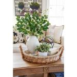 Set van 3 , ficus, , , takken, stammen, bladeren voor vazenvulling, thuis, bruiloft, kantoor, decoratie, keukendecoratie, tafeldecoratie, bruiloft