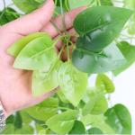 Nep klimop muur woondecoratie groene bladeren voor hotel en bruiloft tuin huis kunstmatige bladeren decor opknoping kunstmatige plant (groene dille bladeren)