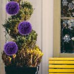2 stuks eucalyptus grasbal plant grasballen vormsnoei van ballen planten hangende grasballen groene vulballen violet plastic ornament huishouden