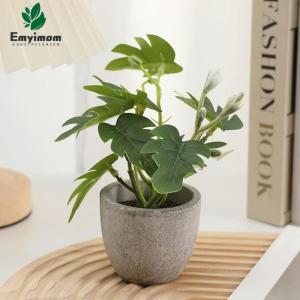 3 stuks , mini-, echte eucalyptus, rozemarijn, babyborrel, klein, met potten, tafeldecoratie, huis, balkon, kantoor, decoratie (3, groen)