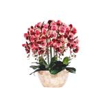 Kunstblumen Künstliches Phalaenopsis-Blumenarrangement – ​​Seidenorchideen für Heimdekoration, Hochzeiten, Partys und Büro – lebensecht für jeden Anlass