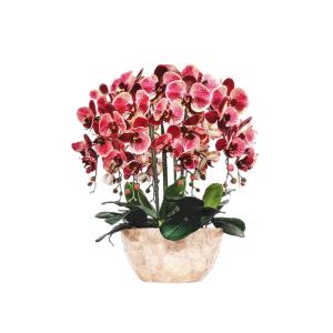 Kunstblumen Künstliches Phalaenopsis-Blumenarrangement – ​​Seidenorchideen für Heimdekoration, Hochzeiten, Partys und Büro – lebensecht für jeden Anlass