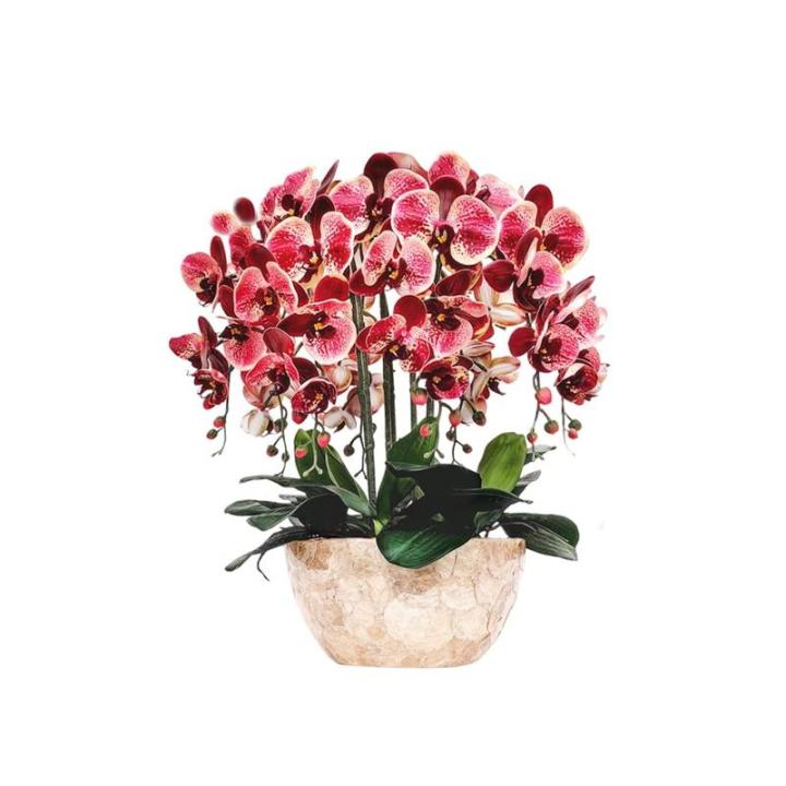 Kunstblumen Künstliches Phalaenopsis-Blumenarrangement – ​​Seidenorchideen für Heimdekoration, Hochzeiten, Partys und Büro – lebensecht für jeden Anlass