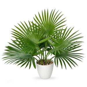 Kunstpalmplanten in potten 38 cm nepplant met 7 realistische bladeren voor huisdecoratie binnen, decoratieve tropische kunstplant voor thuiskantoor, badkamer, keuken, bureau, hoekd