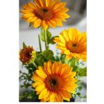 Kunstblumen Künstliche Blumen, Pflanzen im Topf, gefälschte Blumenornamente für die Heimdekoration, simulierte Blumen für Zuhause/Schlafzimmer/Büro für jeden Anlass