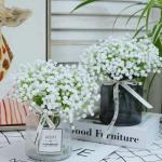 Gypsophila , 10 stuks Gypsophila-planten, voor bruiloft, bruidsboeket, thuis, knutselen en decoratie (wit)