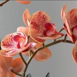 Kunstblumen Künstliches Phalaenopsis-Blumenarrangement, künstliche Orchideenblumen im Keramiktopf, künstliche Orchideen-Kunstblumen für Zuhause für jeden Anlass