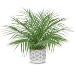 , klein, in pot, 40,6 cm, als echt, kunstkamerplanten voor thuis, kantoor, hotel, bookwinkel, café, moderne decoratie