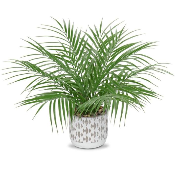 , klein, in pot, 40,6 cm, als echt, kunstkamerplanten voor thuis, kantoor, hotel, bookwinkel, café, moderne decoratie