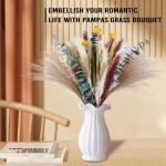 Gedroogde pampasdecoratie, natuurlijke gedroogde bloemen, 100 stuks, doe-het-zelf, gedroogde bloemen, boeket, ideaal voor boho, woonkamer, bruiloft, slaapkamer en vazen (LZGSGO-010