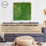 wand, zomerweide, 100 x 100 cm, groening, voor binnen en buiten, uv-bestendig, onderhoudsvriendelijk en duurzaam, verticale tuin voor een feel-good sfeer en een fris