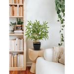 43 cm kunstplant bamboe bonsai in zwarte keramische pot kunstbamboe kamerplant voor badkamer, eetkamer, woonkamer decoratie