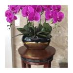 Kunstblumen Künstliche Pflanzen, künstliche Phalaenopsis-Orchidee, Schmetterlingsorchideen mit Keramik-Blumentopf, realistische Blumendarstellung im Topf für jeden Anlass