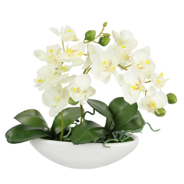Kunstorchidee in schaal, 27 cm, kunstbloem, kunstorchidee, phalaenopsis met pot, kunstplant, bruiloft, decoratie, vlinder, phalaenopsis, decoratieve bloem, zijden bloemen, bloemstu