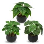 Set van 3 als echte kunstkamerplanten, decoratieve planten voor woonkamer, badkamer, hoogte ca. 15 cm, in zwarte keramische pot