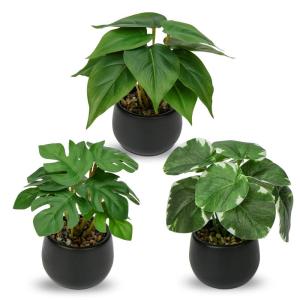 Set van 3 als echte kunstkamerplanten, decoratieve planten voor woonkamer, badkamer, hoogte ca. 15 cm, in zwarte keramische pot