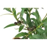 Kunstmatige olijfboom met zwarte vruchten, 57 cm, olijf, mediterrane kunstplant, olijfboom, groene plant, kunstboom, decoratieboom, sierplant, boom, bomen, planten, Toscane, potpla