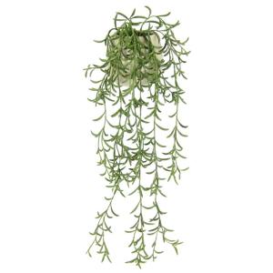 Kunstplant Sprengerie Hangplant Kunstbloem Kunstplant Groene Hangende Plant Klimop Busch Groene Planten Kamerplant Decoratieve Plant IJslandse Kunstmos Slinger