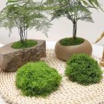 100 g kunstmos om te decoreren, knutselmos, nep decoratief mos om te knutselen, decoratie, voor muur, kerststal, aquarium, creatief groen, kamerplantendecoratie, modelbouw, donkerg
