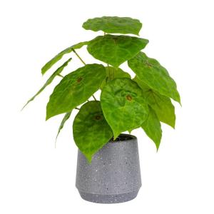 Kunstgroene plant in pot, kunstmatige vetplanten, planten in pot, 32 cm, grote groene kunstmatige plant, groen blad voor thuis, bureau, woonkamer, decoratie