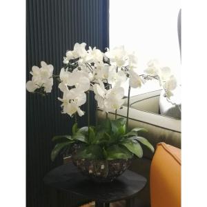 Kunstblumen Tischblumen-Mittelstücke – künstliche Schmetterlings-Orchideen-Arrangement im Topf, PU-Phalaenopsis-Blumen für jeden Anlass