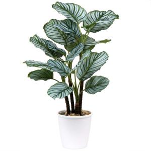 24 inch Calatheas Orbifolia Goeppertia Orbifolia Plant Tropische Faux Groene Plant Arrangement in Pot voor Home Garden Office Decoratie