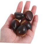 1 Satz Schaumkastanie Kastanien-tischstreuung Künstliche Kastanien Künstliche Küchennahrung Künstliches Kastanienmodell Simulierte Kastanien Faux-nuss-Modelle Coffee 30st
