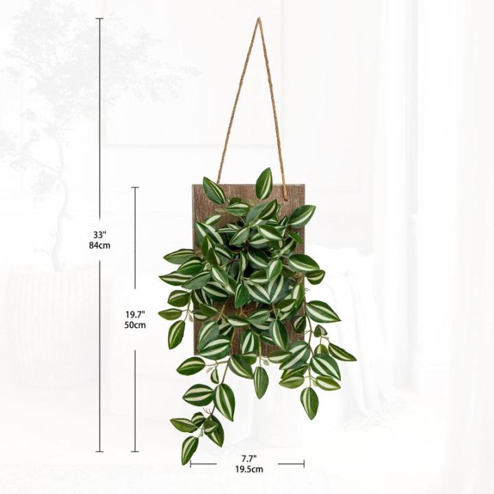 Kunstplant Peperomia watermeloenen als echte hangplant decoratieve planten