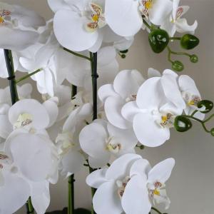 Realistische künstliche Orchideenpflanzen, vollständig getopft