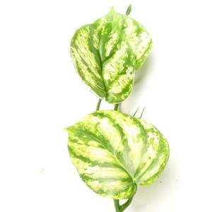 Ontwerp kunstmatige hangende planten
