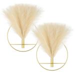 Boho wanddecoratie, grote wanddecoratie, metalen wanddecoratie, hangende kunstpampa-display, wandkunst woonkamer, slaapkamer, badkamer, eetkamer, 2 stuks goudbeige