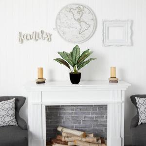 Kunstplant Calathea, kamerplant, kunstplant als echt struikachtig met 8 gekleurde bladeren in kunststof pot, hoogte 33 cm, groen-rood