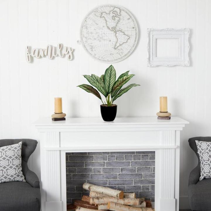 Kunstplant Calathea, kamerplant, kunstplant als echt struikachtig met 8 gekleurde bladeren in kunststof pot, hoogte 33 cm, groen-rood