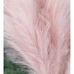 5 stks Kunstbloemen, Pampas Gras Larg Ascendant Gras Nep Bloemen Gras voor Bruiloft Boeketten Home Party Hotel Centerpieces Decoraties, Roze