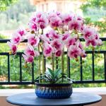 Kunstblumen Künstliche Blumen, Ochiden, Pflanzen, künstliche Orchidee im Topf, Phalaenopsis-Arrangement, Blumen, Pflanzen, Bonsai-Tischdekoration für jeden Anlass