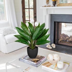Kunstplant als echte kunstplant, decoratieve plant Calathea, struikachtig met 22 bladeren in kunststof pot, kamerplant, hoogte 43 cm, groen