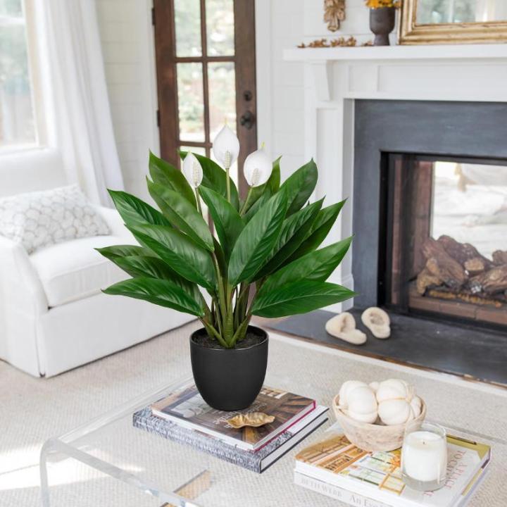 Kunstplant als echte kunstplant, decoratieve plant Calathea, struikachtig met 22 bladeren in kunststof pot, kamerplant, hoogte 43 cm, groen