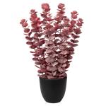 Kunstplant eucalyptus rode kunstplant als echte kamerplanten decoratieve planten in zwarte pot, hoogte 40 cm
